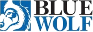 Blue Wolf Capital Partners, LLC Logo