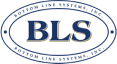 Bottom Line Systems Logo